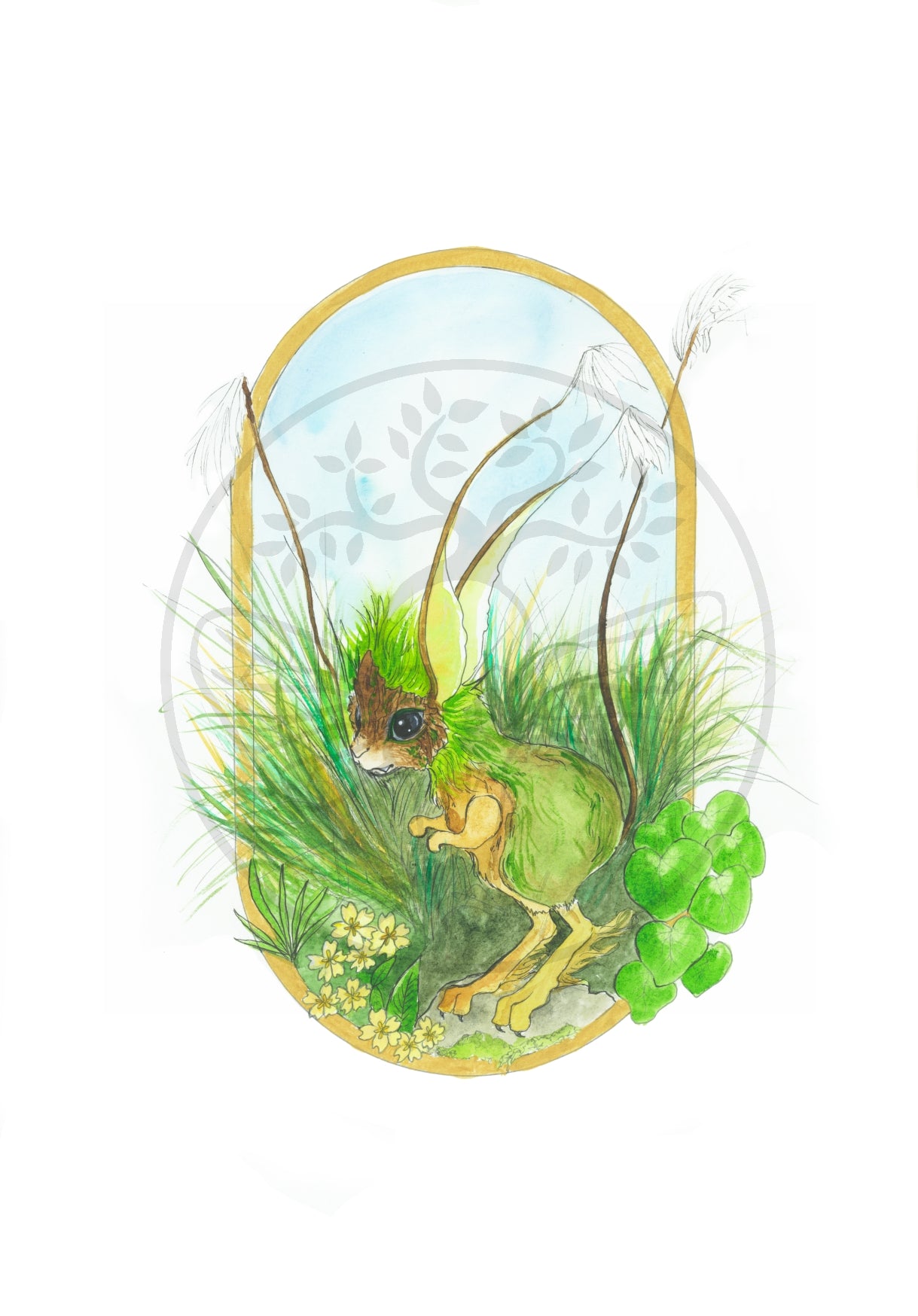 As the Ferns Unfurl Postcard Set