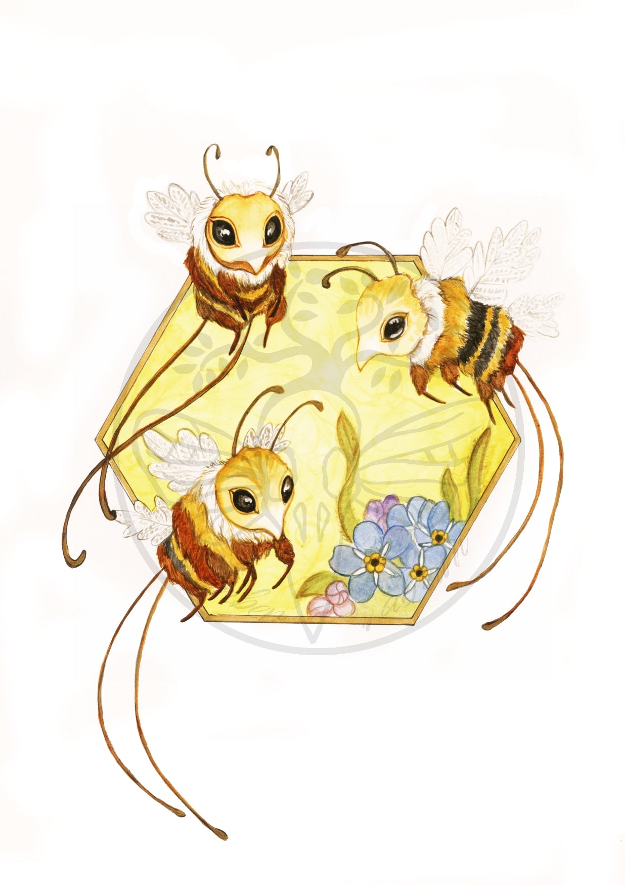 Longtailed Honeydrone A5 Print