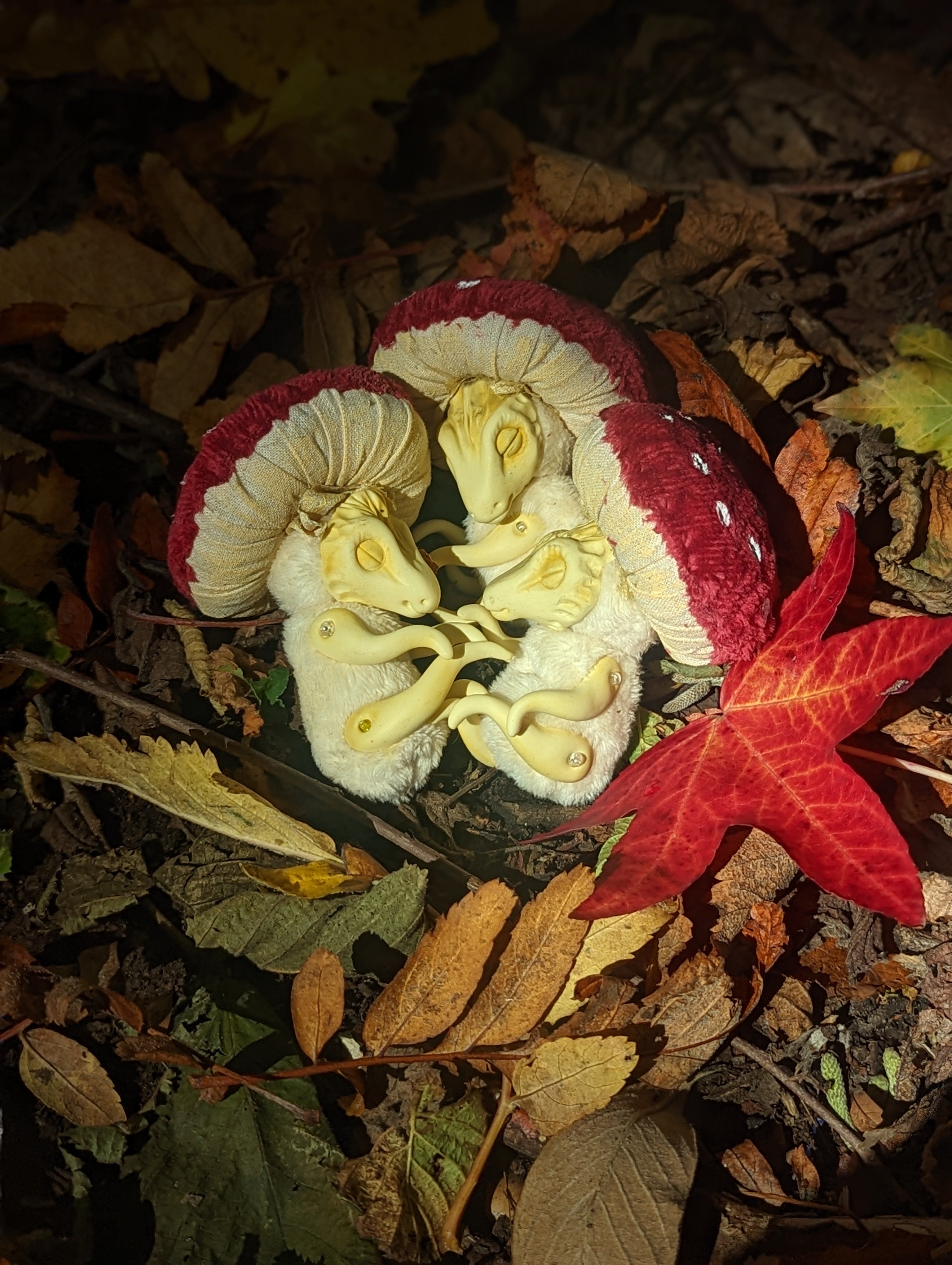 Amanita Mushroom Dragon Hatchling