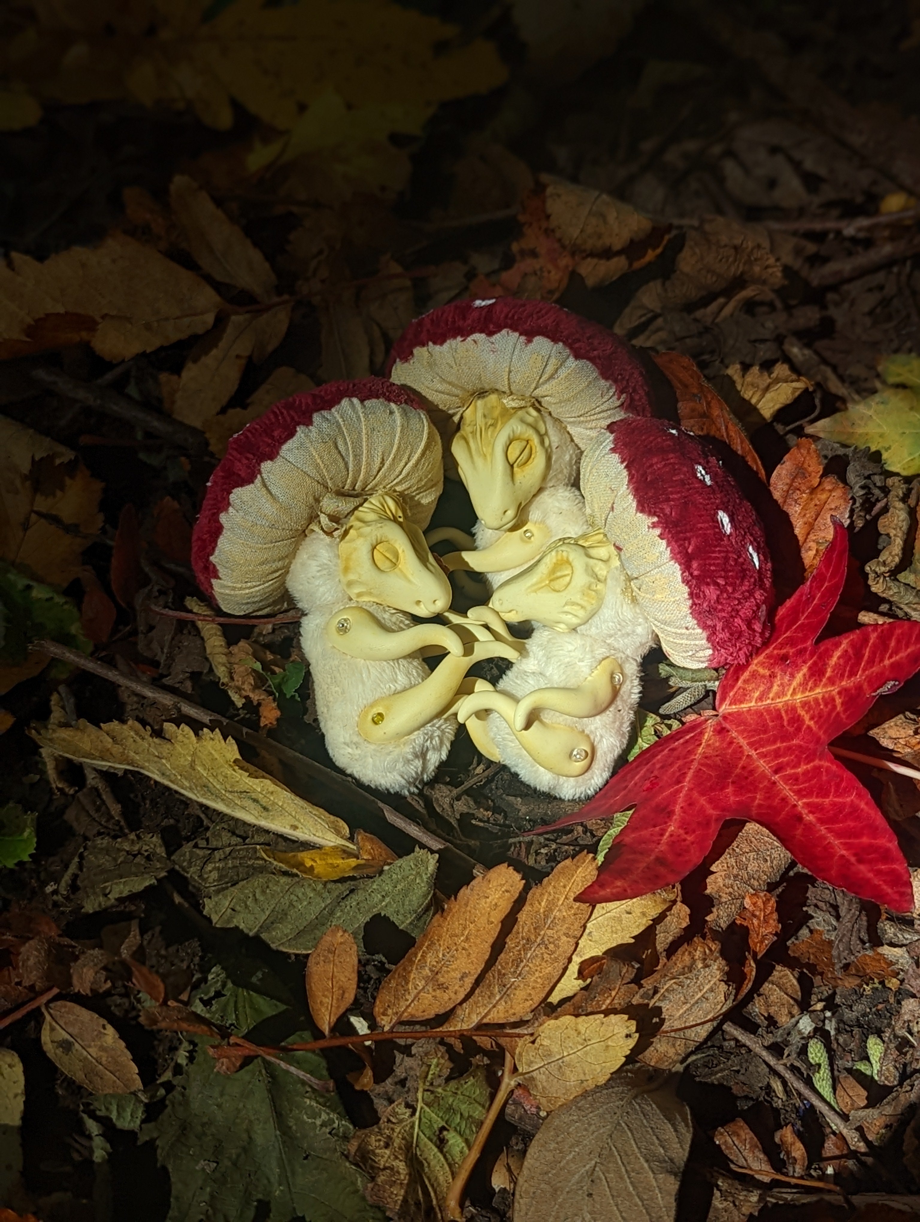 Amanita Mushroom Dragon Hatchling
