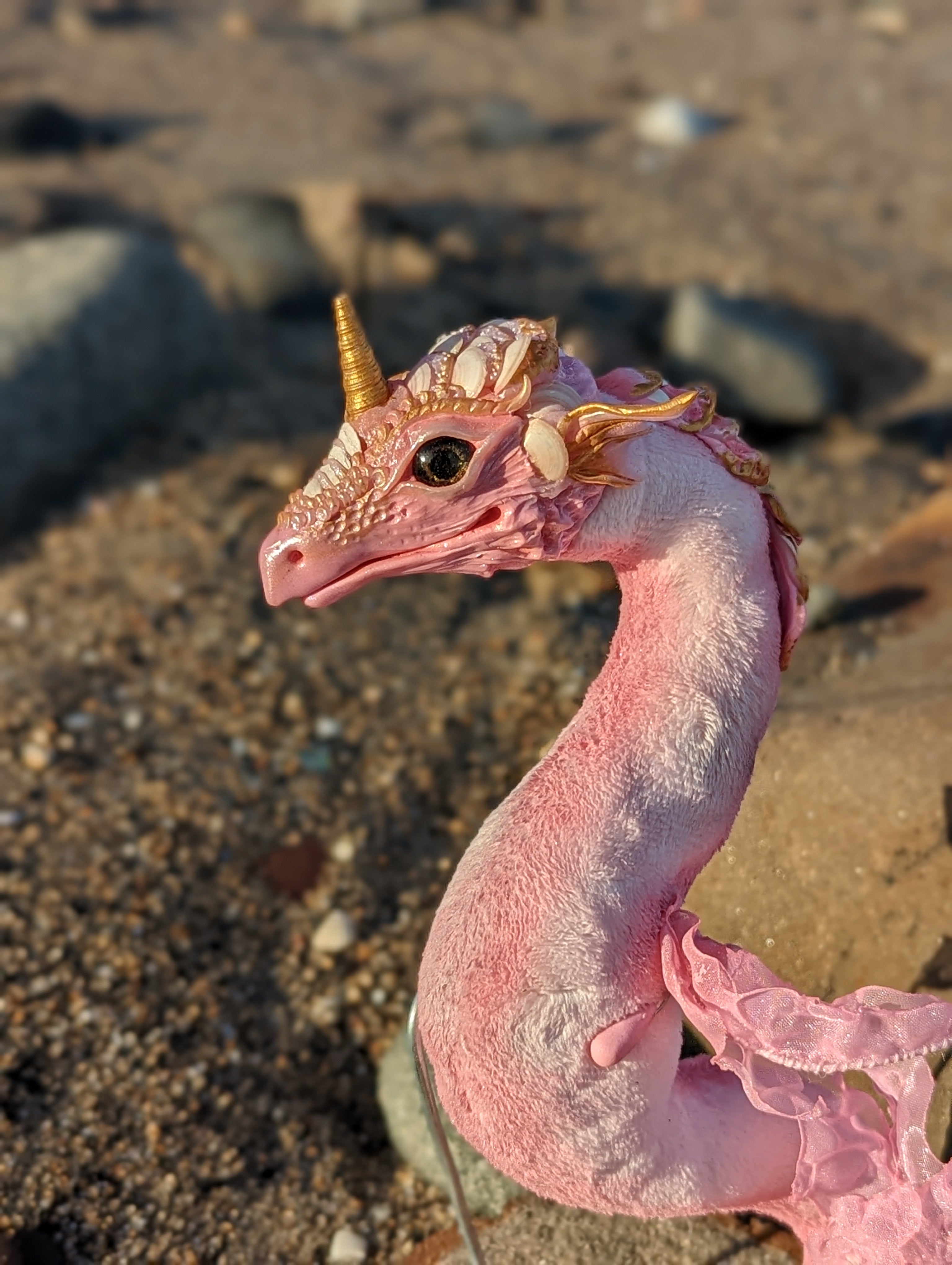Ocean Rose the Pink Shell Dragon