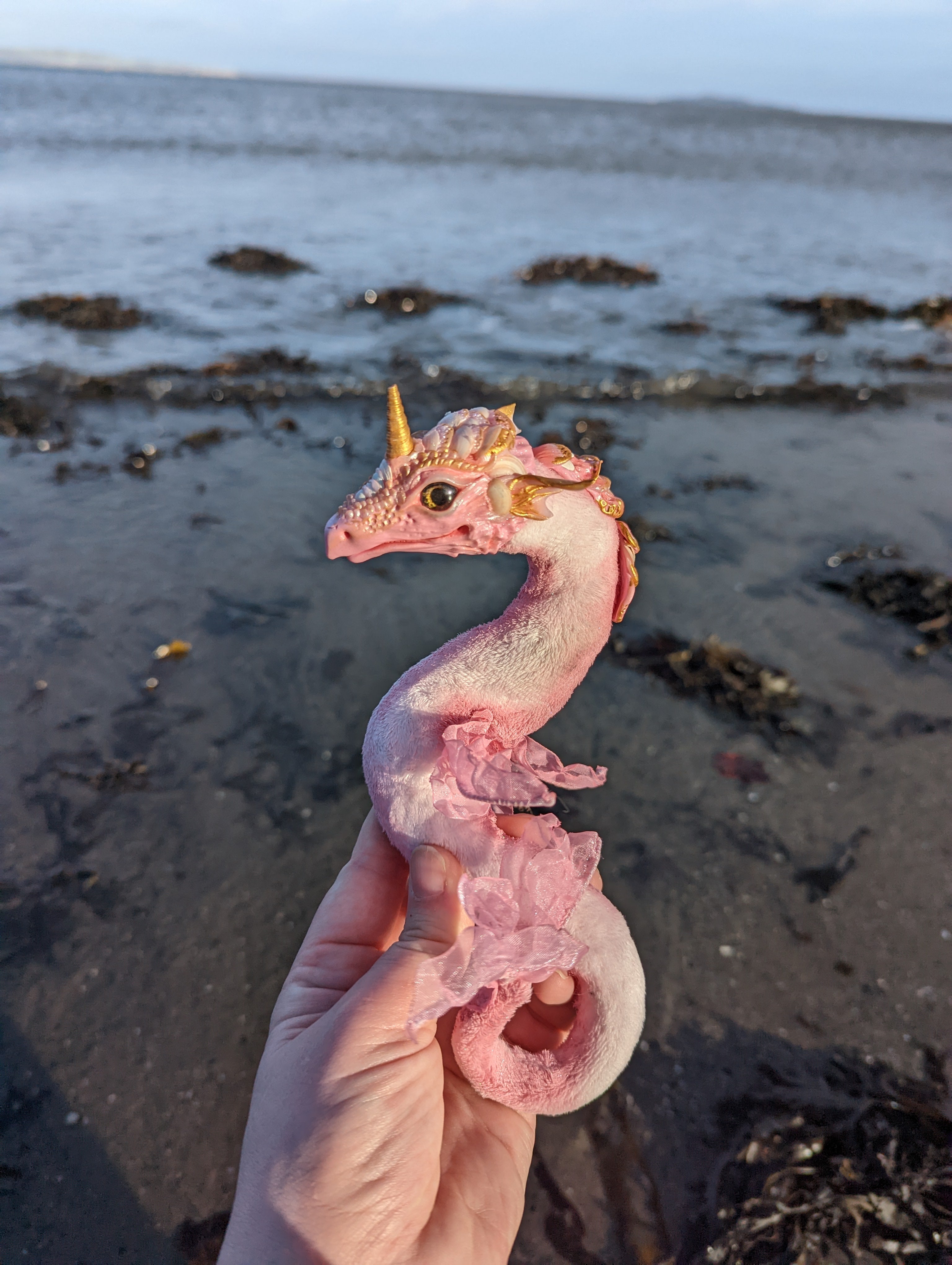 Ocean Rose the Pink Shell Dragon