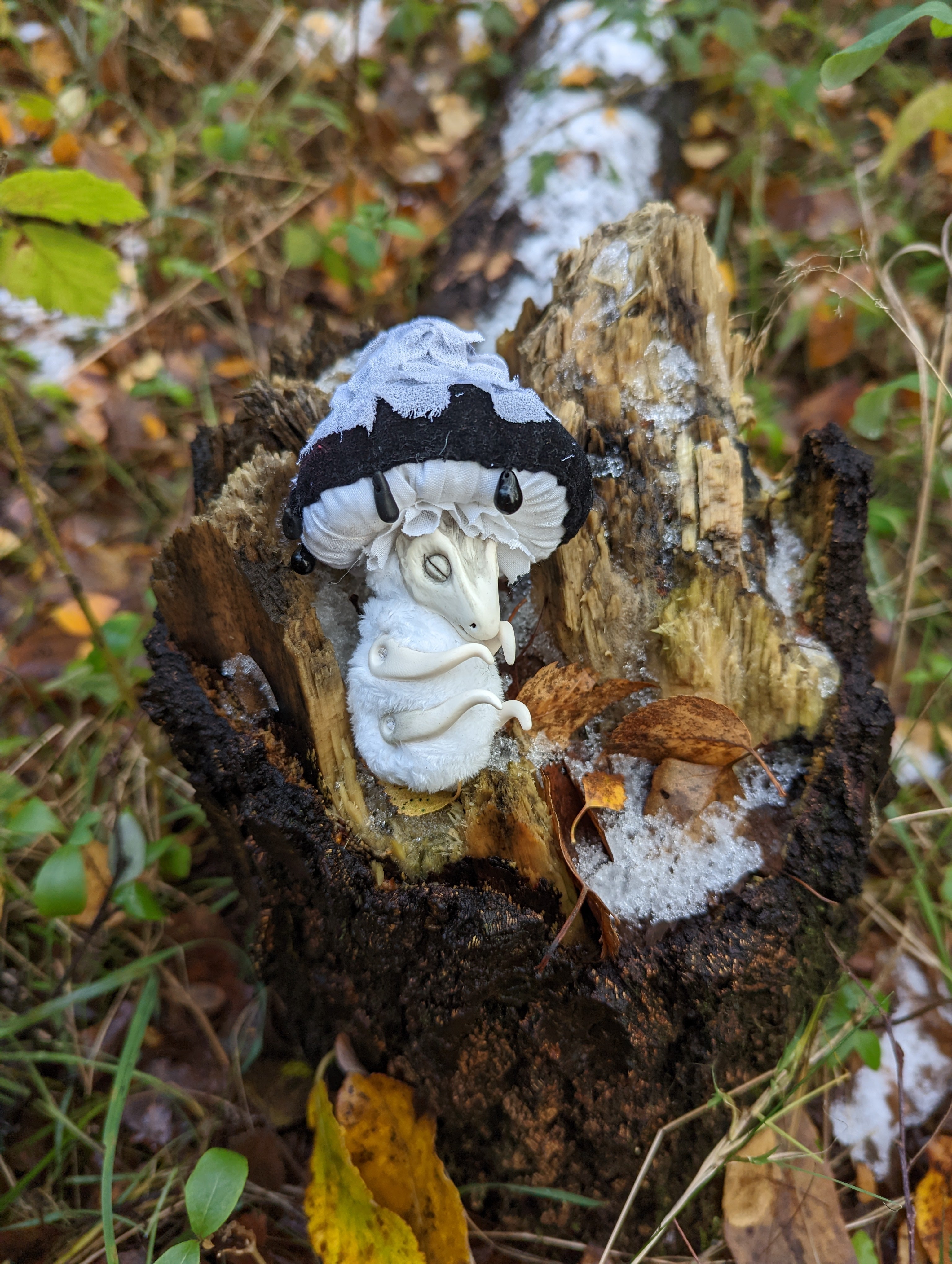 Inkycap Mushroom Dragon Hatchling