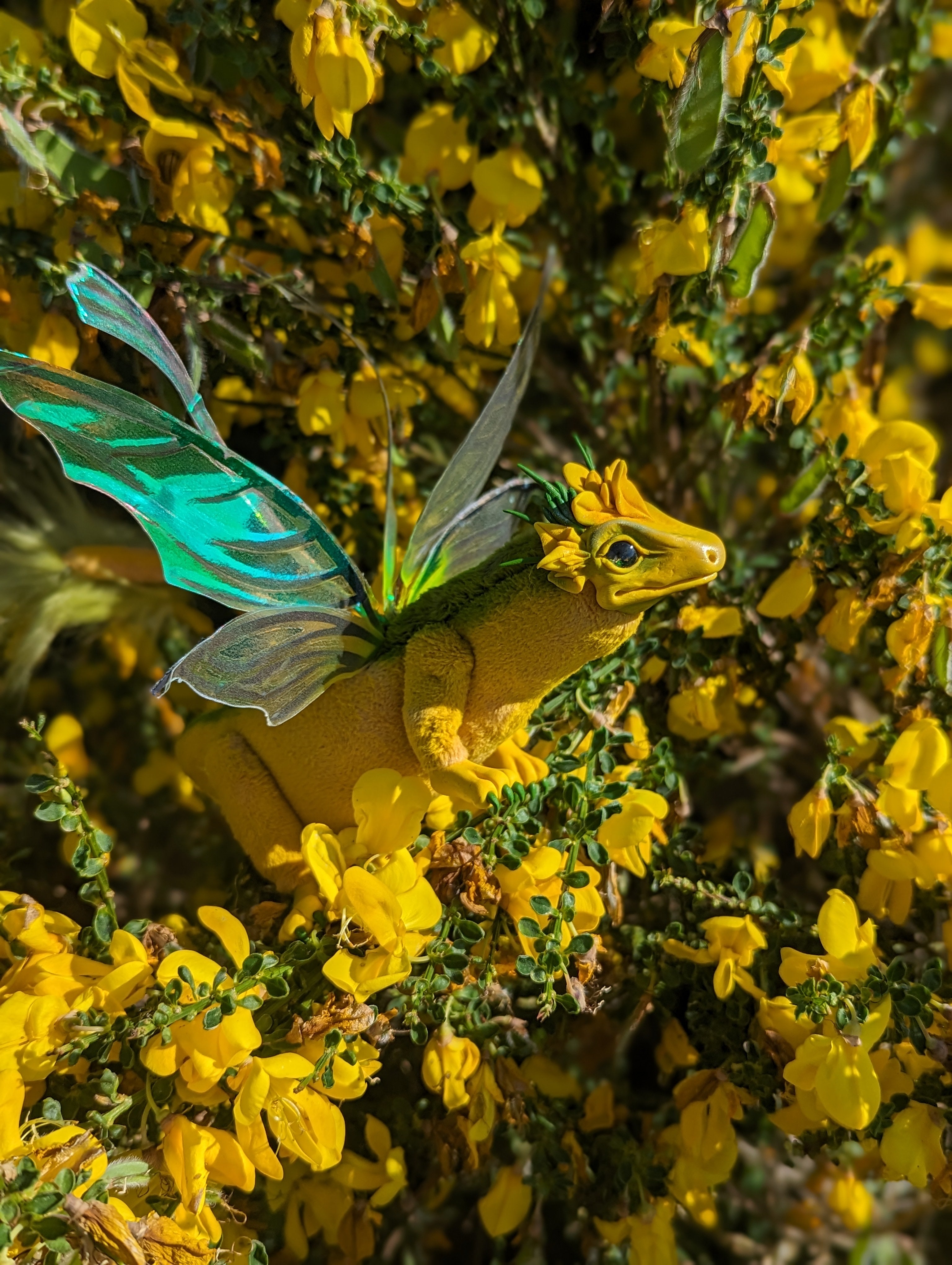 Gorse Dragon