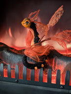 Emberwing
