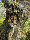 Oakleaf Fae - Spring