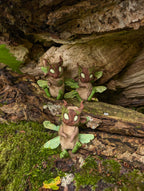 Sycamore Fairies