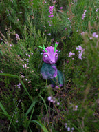 Heather Dragon