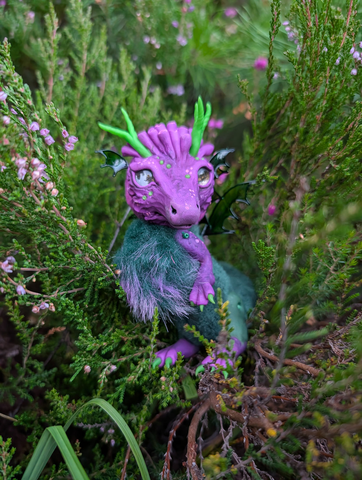 Heather Dragon
