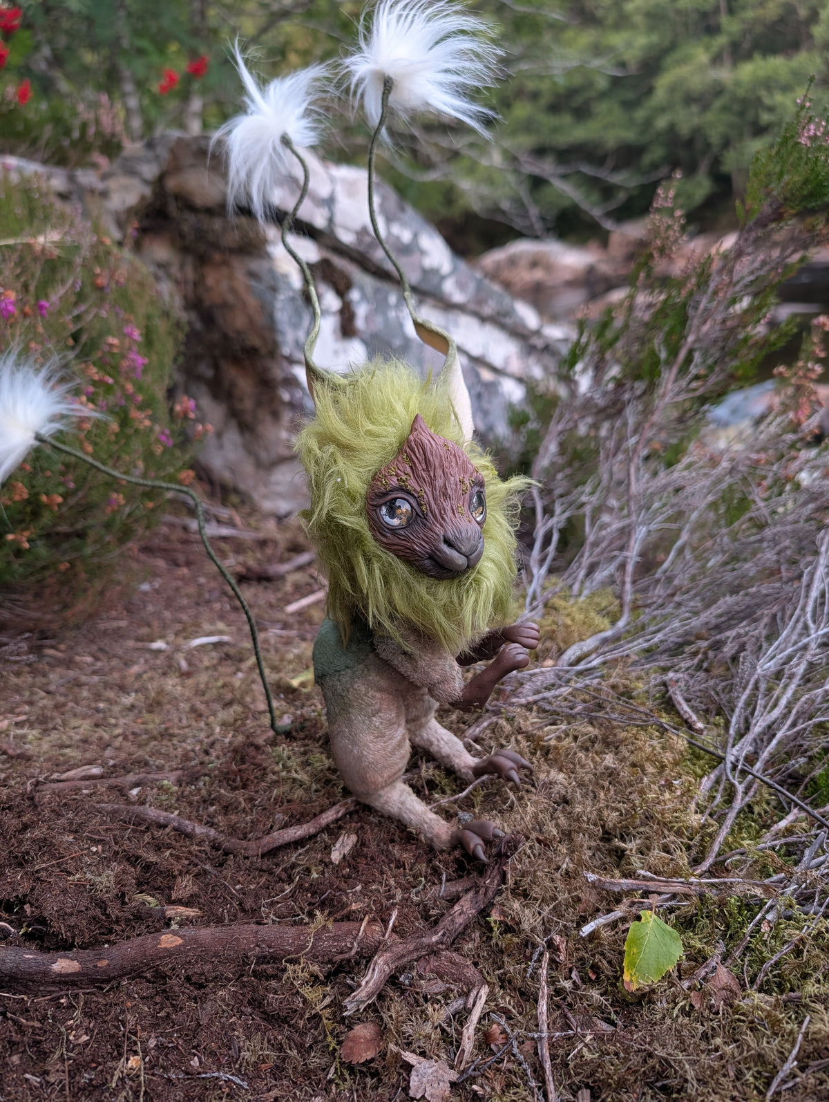 Cottonsedge Twitcher