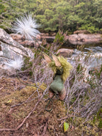 Cottonsedge Twitcher