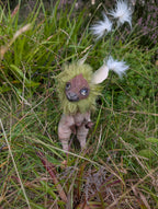 Cottonsedge Twitcher