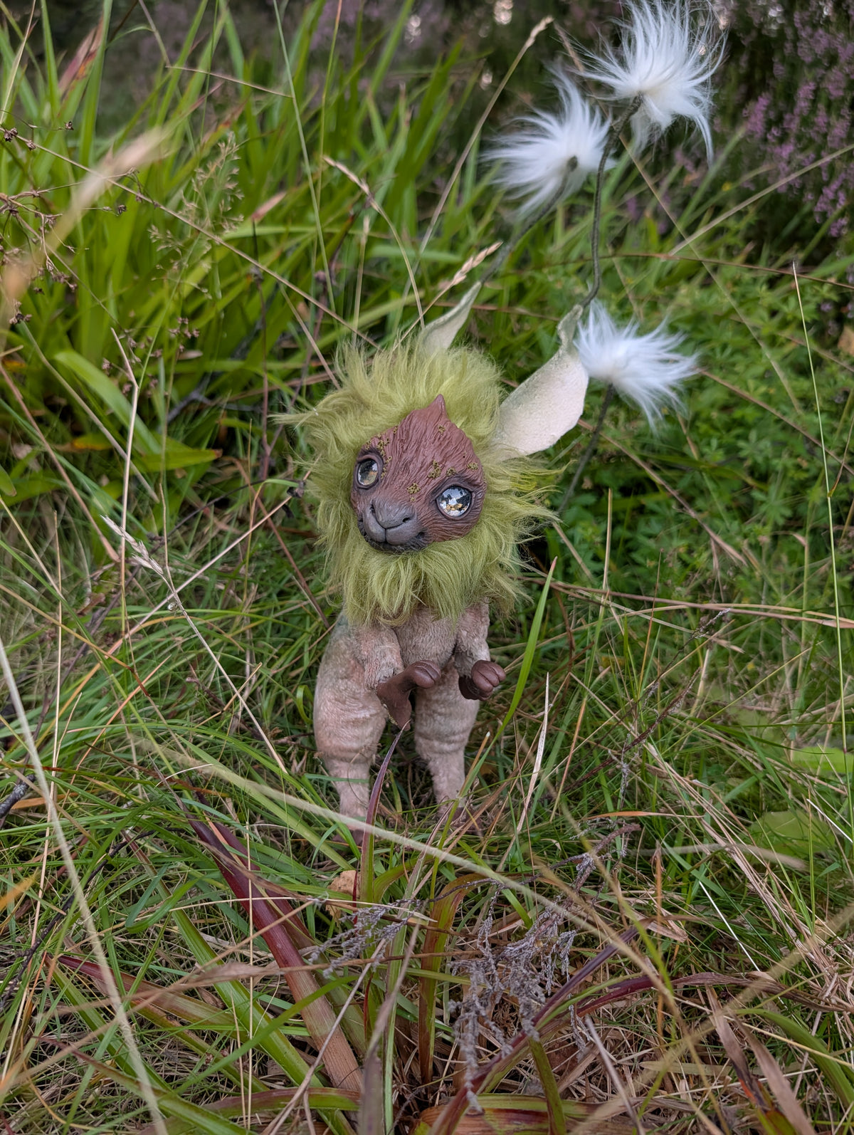 Cottonsedge Twitcher