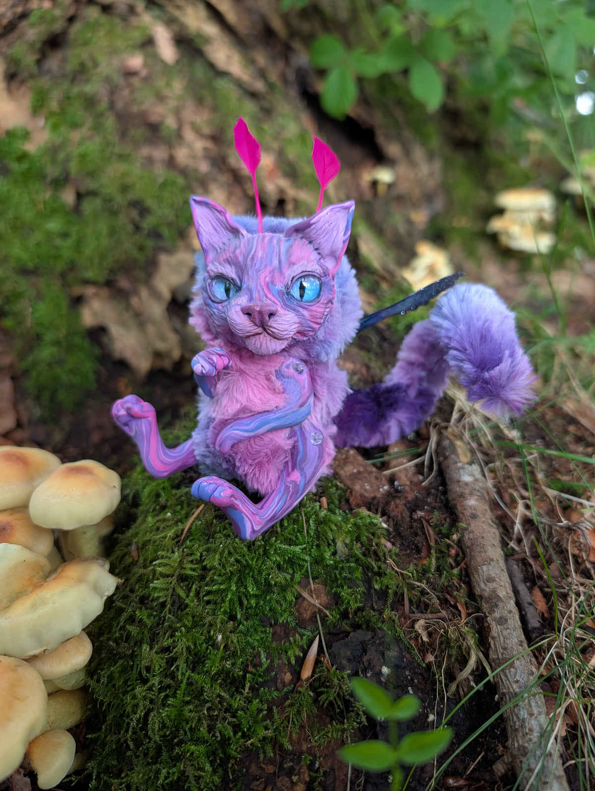 Felaestis Kitten