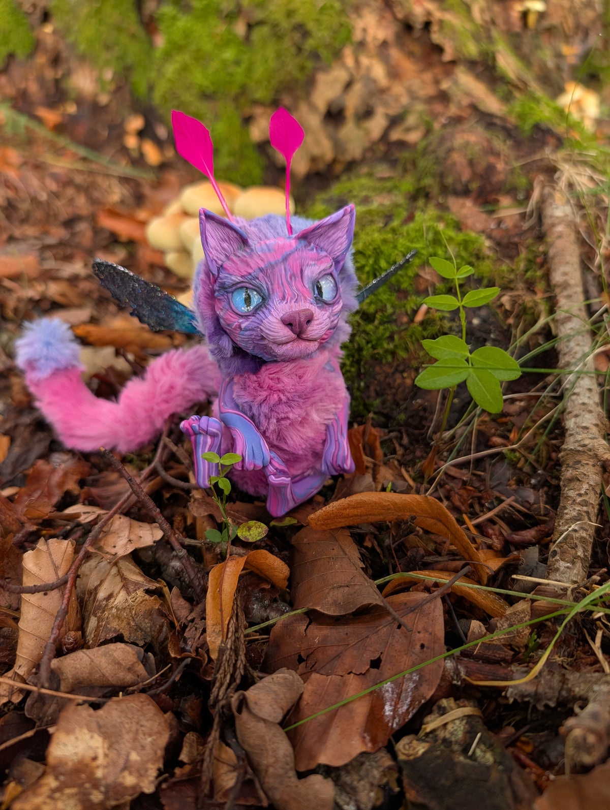 Felaestis Kitten