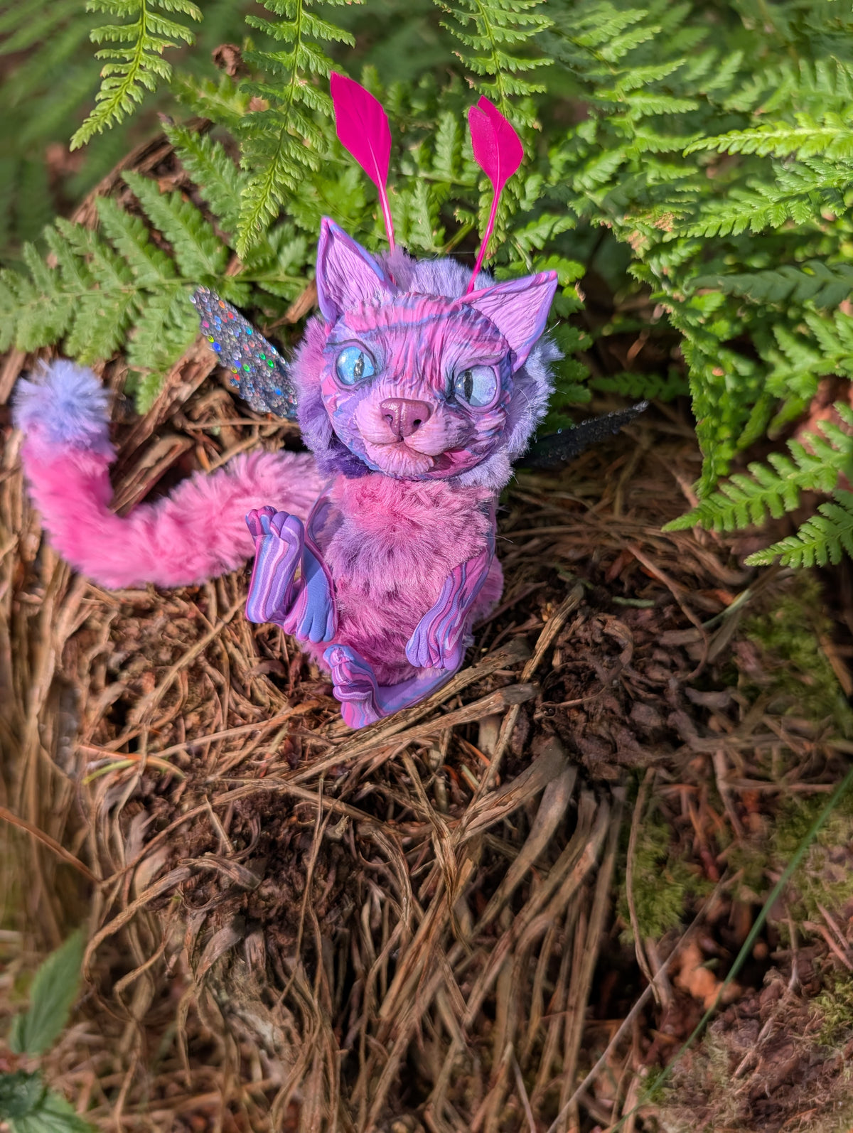 Felaestis Kitten