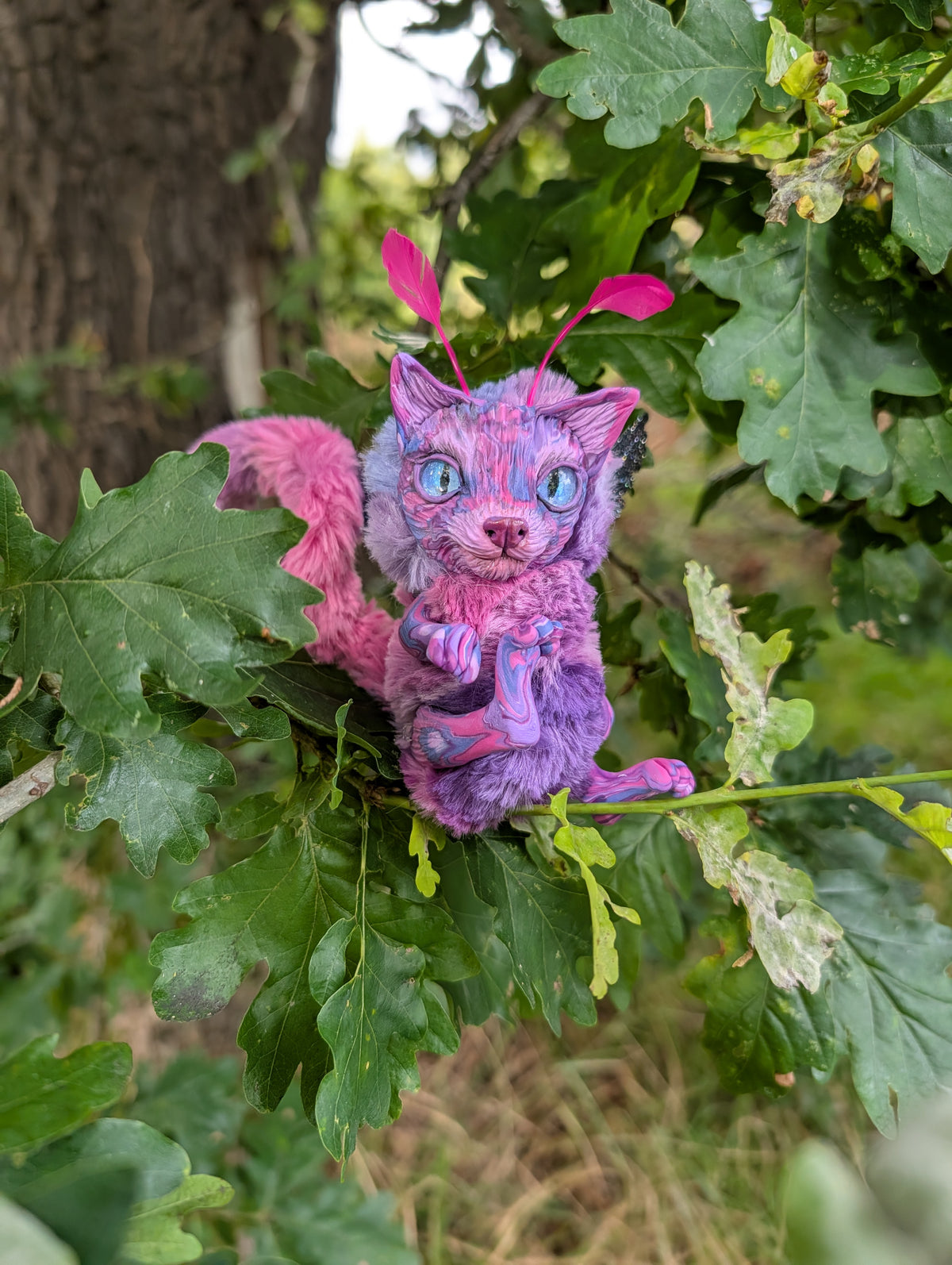 Felaestis Kitten
